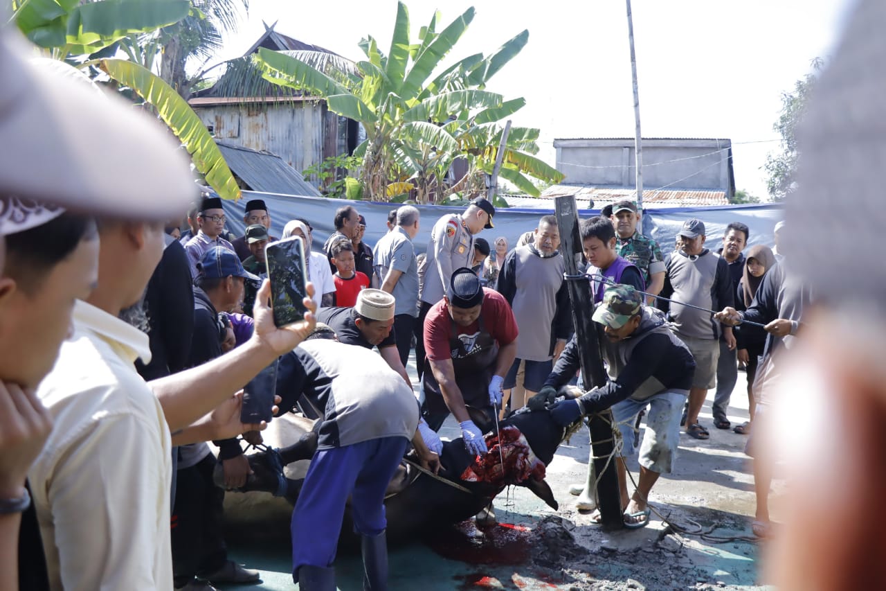 Forkopimda Pinrang Pantau Penyembelihan Hewan Qurban Bantuan Presiden RI di Mattiro Sompe