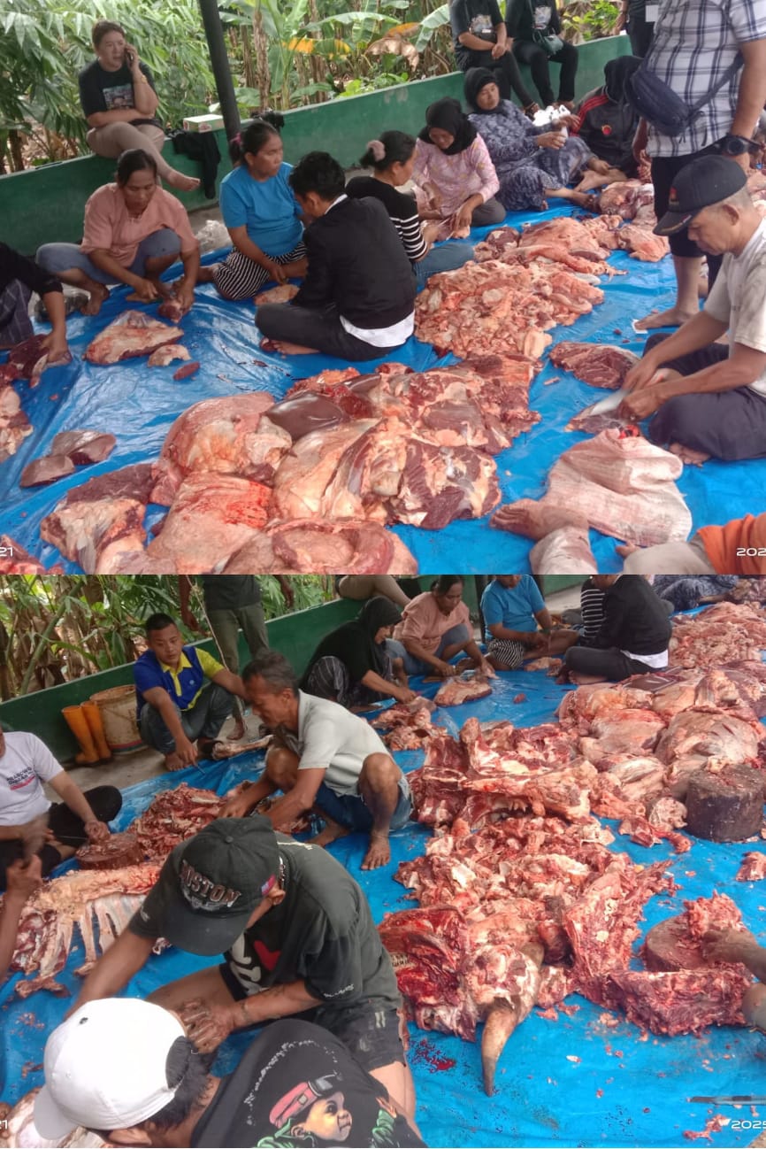 Wujudkan Kolaborasi, Ratusan Relawan Boby Nasution Gelar Pemotong Sapi Qurban Di Hari Raya Idul Adha 1446 H