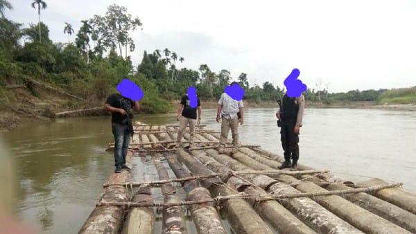Kegiatan Ilegal loging di Tanah Merah Kecamatan Langkahan Aceh Utara di Sinyalir Kebal Hukum