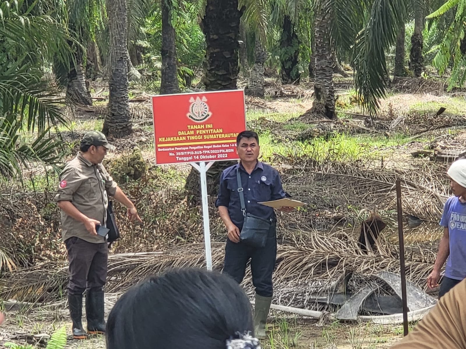 Vonis 10 Tahun dan UP 797 M, Akuang Tak Ditahan Hakim, Koperasi STM Diduga Masih Panen Sawit di Hutan Negara, Kastel Langkat : Dititip ke BKSDA