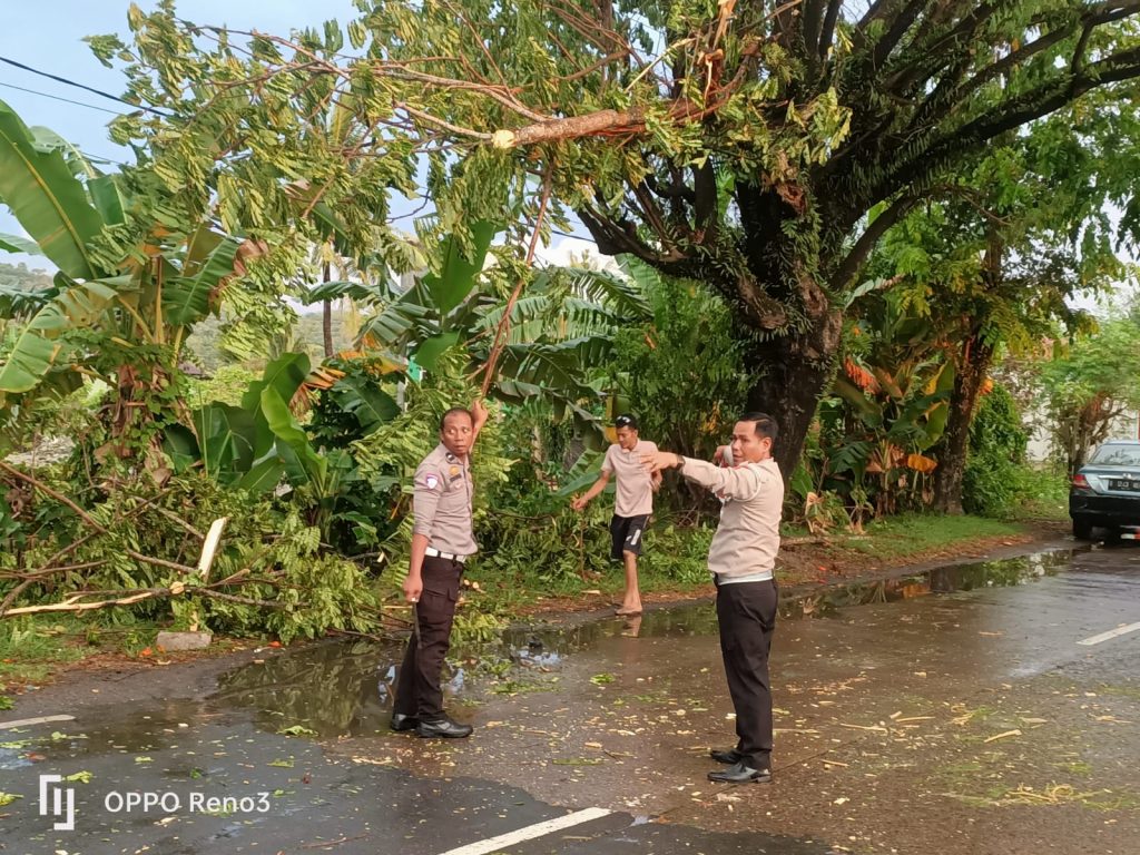 Anggota Sat Lantas Polres Barru Bersama Warga Bersihkan Pohon Tumbang di Jalan Raya Poros Barru-Makassar