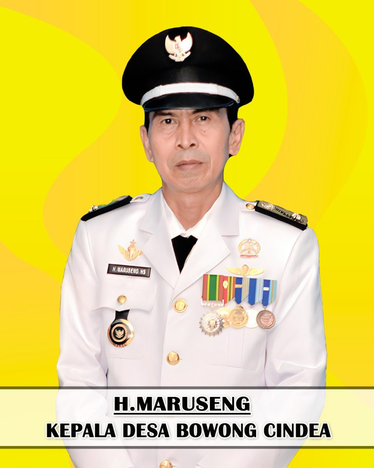 Kepala Desa Bowong Cindea H. Maruseng Berkomitmen Tingkatkan Pembangunan Dan Pelayanan Publik
