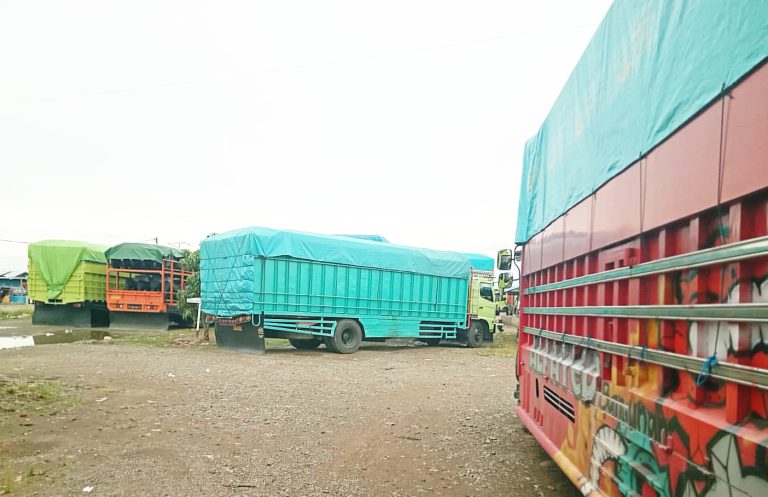 Demo pemekaran propinsi Luwu Raya : Pelabuhan Siwa-Tobaku Lumpuh hingga Hampir Sebula, Distribusi Logistik Terhambat