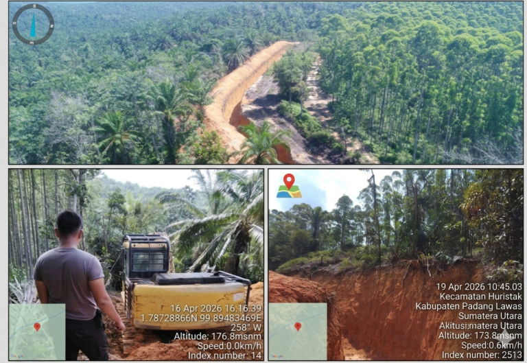 PT Barapala Acuhkan Negara, Panen Sawit Di Lahan Status Quo