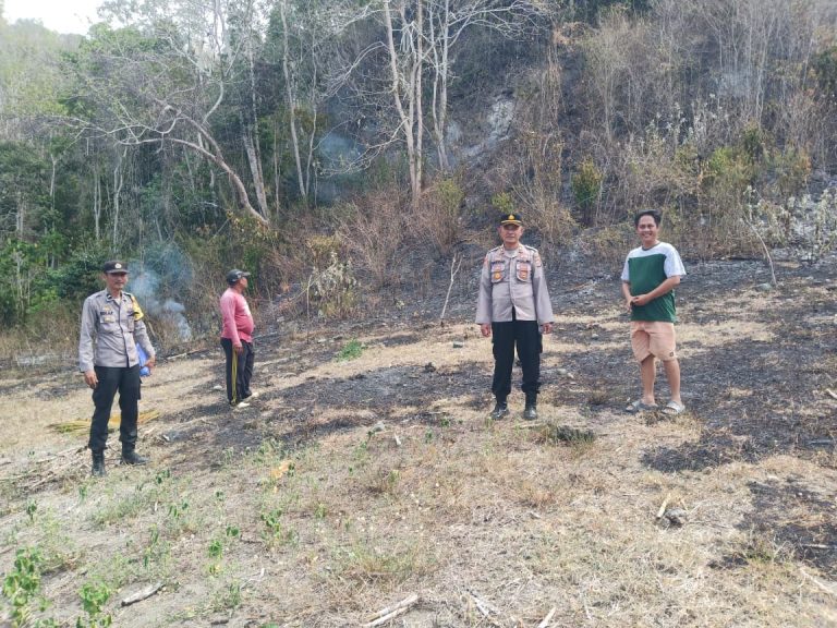 Kebakaran Lahan di Longge Berhasil Dipadamkan, Diduga Berasal Dari Puntung Rokok