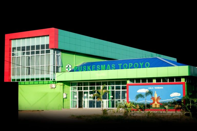 Puskesmas Topoyo Perkuat Transformasi Layanan Kesehatan, Yusri M. Dorong Inovasi Digital hingga Penurunan Stunting