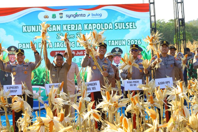Kapolda Sulsel Hadiri Panen Raya Jagung Kuartal III di Sidrap, Dukung Swasembada Pangan Nasional