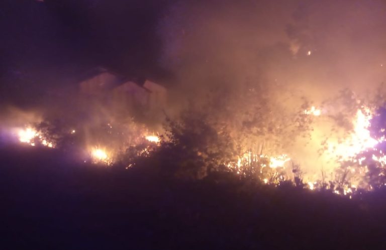 Api Meluas Membakar Hutan Desa Longge, BPBD Menghimbau Masyarakat Kewaspadaan Dimusim Kemarau.