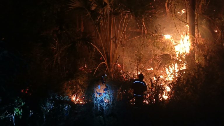 Kebakaran Hutan di Ampana, Desa Padang Uloyo