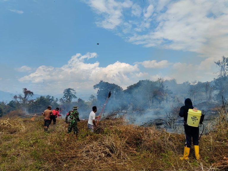 Sijago Merah Membakar Lahan Kosong Bekas Percetakan Desa Tayawa.