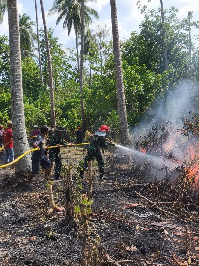 Lahan Kebun Kelapa Terbakar Didesa Tongko Poso