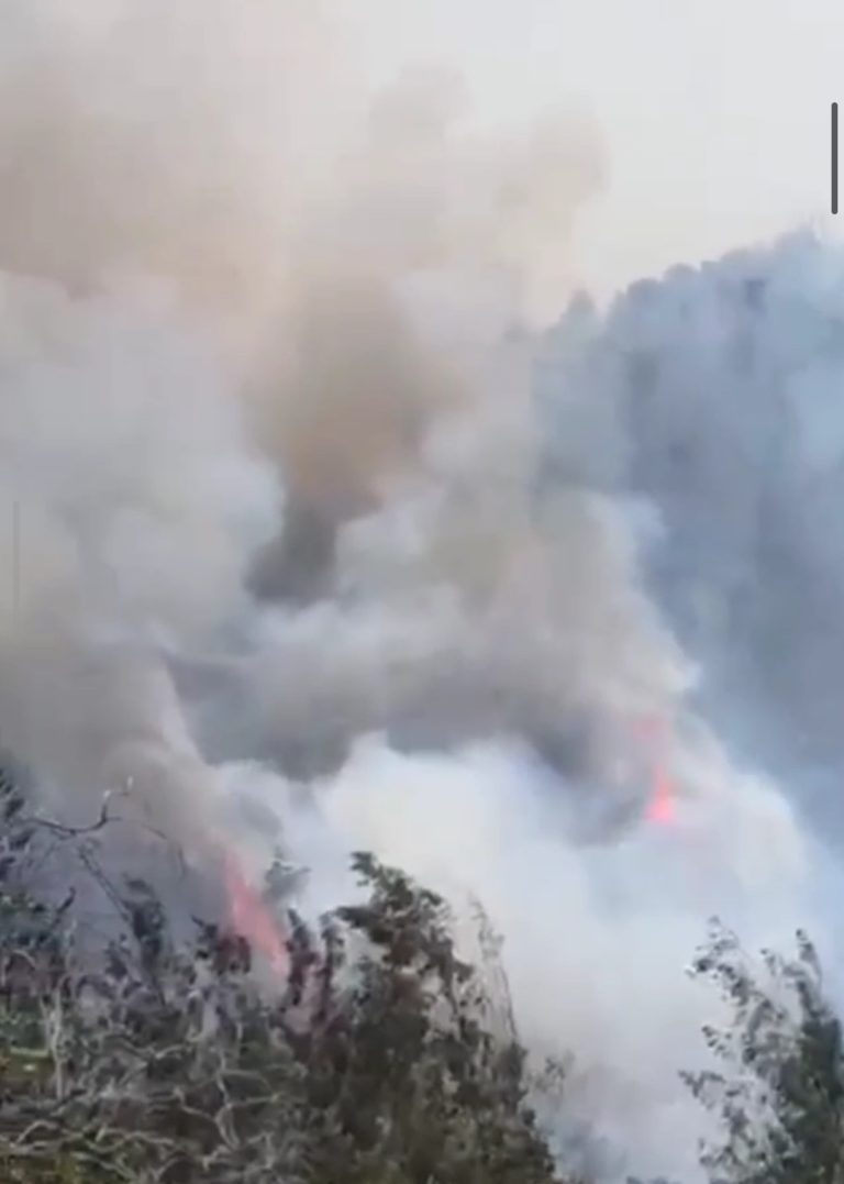 Karhutla di Desa Betaua Touna Hanguskan 5 Hektare, Picu Asap Tebal